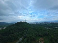 -美的鹭湖森林度假区