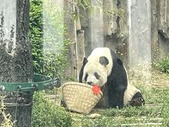 -大连森林动物园