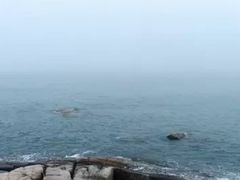 -马銮湾景区
