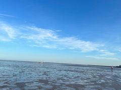 -南汇嘴观海公园
