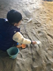 点击看大图 -恐龙探索乐园(磁器口店)