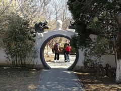 -桃花堤公园