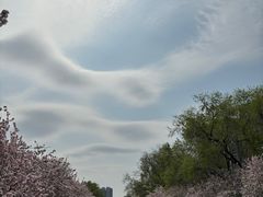 -海棠花溪(元大都城垣遗址公园)