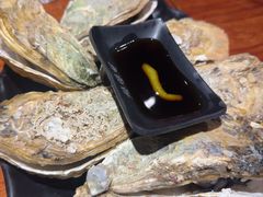 -烧蠔帮·湛江生蚝(南桥店)