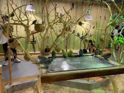 点击看大图 -七巧国萌宠乐园(龙湖天街店)