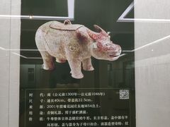 -安阳博物馆