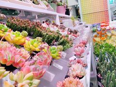 -KKV(天津津南吾悦广场店)