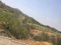 -碧露轩·大益茶体验馆(镇江路店)