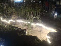 -映月潭温泉
