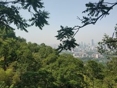-紫金山山顶公园