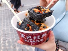 -黑色经典臭豆腐·湖南特产(坡子街特产局店)