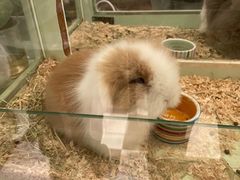 -龙猫仔乐园(惠福东路店)