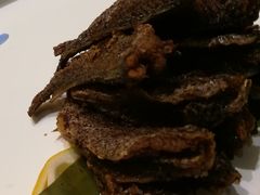 -沪碟·精菜坊(闵行店)
