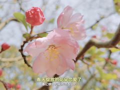 -静安雕塑公园