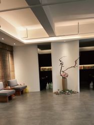 点击看大图 -C-18 SALON