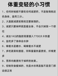 -Fundi张玉珊修身堂·indiba·BTL科技瘦身