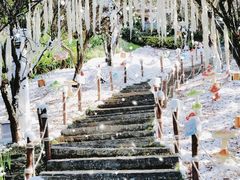 -七彩云南古滇温泉山庄