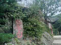 -王顺山国家森林公园