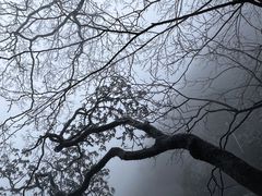 -萍乡武功山风景名胜区