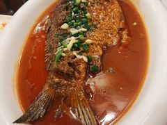 -老雒阳面馆·水席(定鼎门店)