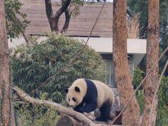 -武汉动物园