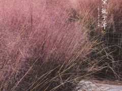 -嘉北郊野公园