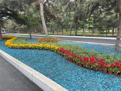 -北陵公园