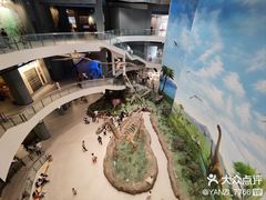 -辽宁古生物博物馆