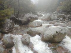 -青峰峡国家森林公园