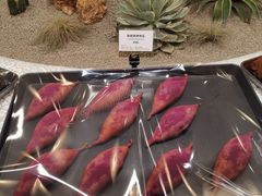 -OUR Bakery(SKP-S店)