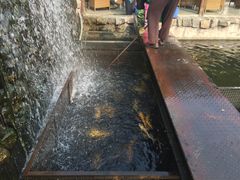-京北渔家傲