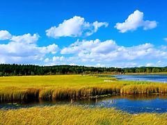 -塞罕坝国家级自然保护区