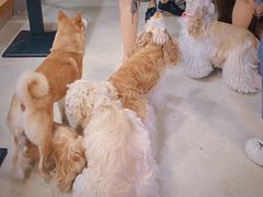 -小意思咖啡店(草桥店)