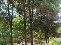 -都江堰普照寺