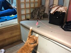 -小时光咖啡馆(开森度假森林店)