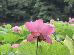 -金山公园