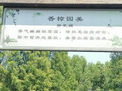 -东山香樟园
