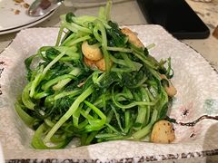 -T館·花园艺术餐厅