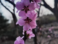 -大兴滨河森林公园