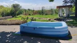 -DORA kids 朵拉儿童摄影花园店