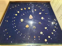 -青岛贝壳博物馆