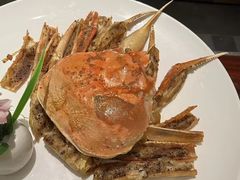 -半岛豪苑酒家(花都店)