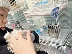 -BABIT巴比特宠物(MOMOPARK店)