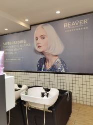 -798·beaver海狸荟