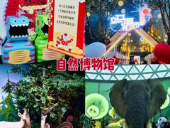 -陕西自然博物馆