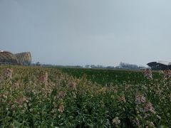 -中国天府农业博览园