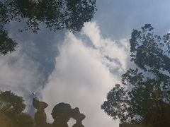 -秋霞圃