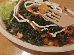 -油梨树 AVOCADO TREE(亮马桥店)
