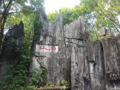 -深圳国际园林花卉博览园