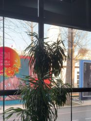 -爱儿美儿童摄影亲子馆(五路居店)